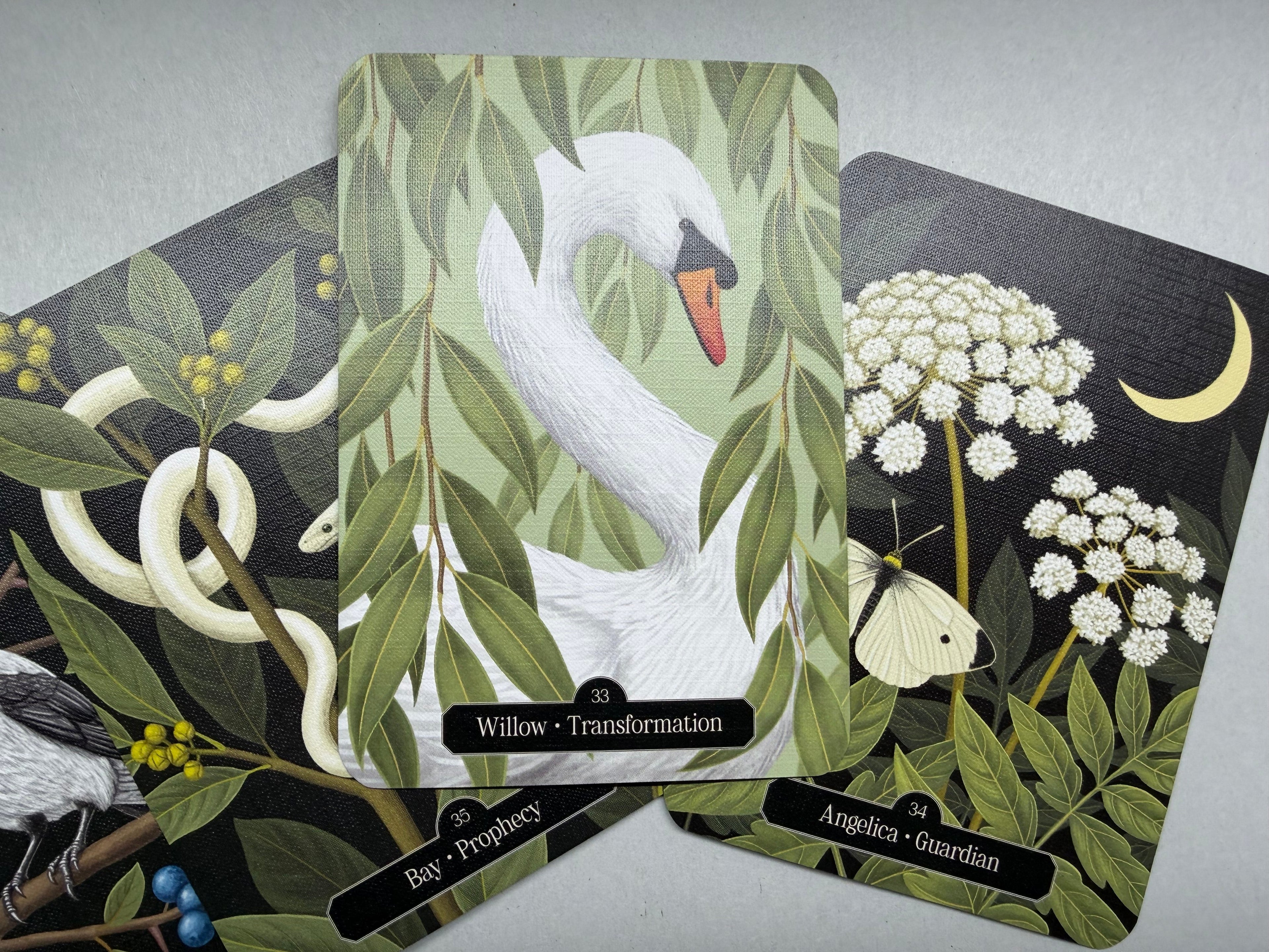Card with a swan illustration surrounded by leaves and flowers on a gray background