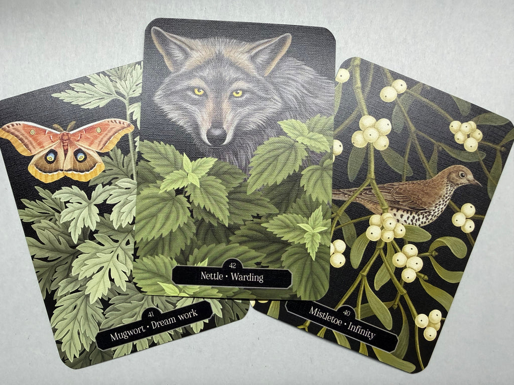 Three nature-themed cards featuring a wolf, butterfly, and bird on a gray background