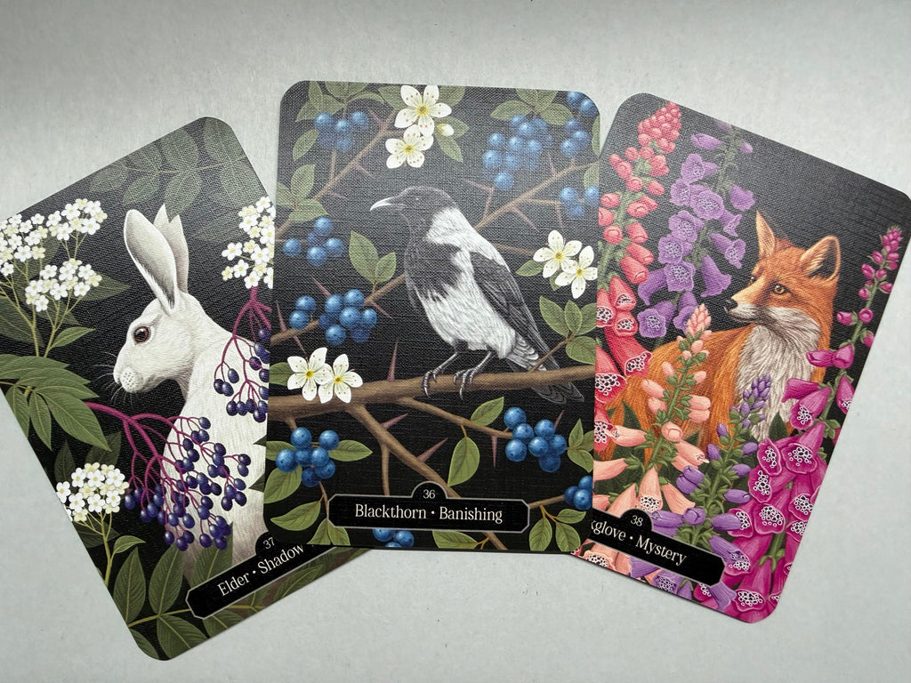 Three cards featuring animals and nature on a gray background