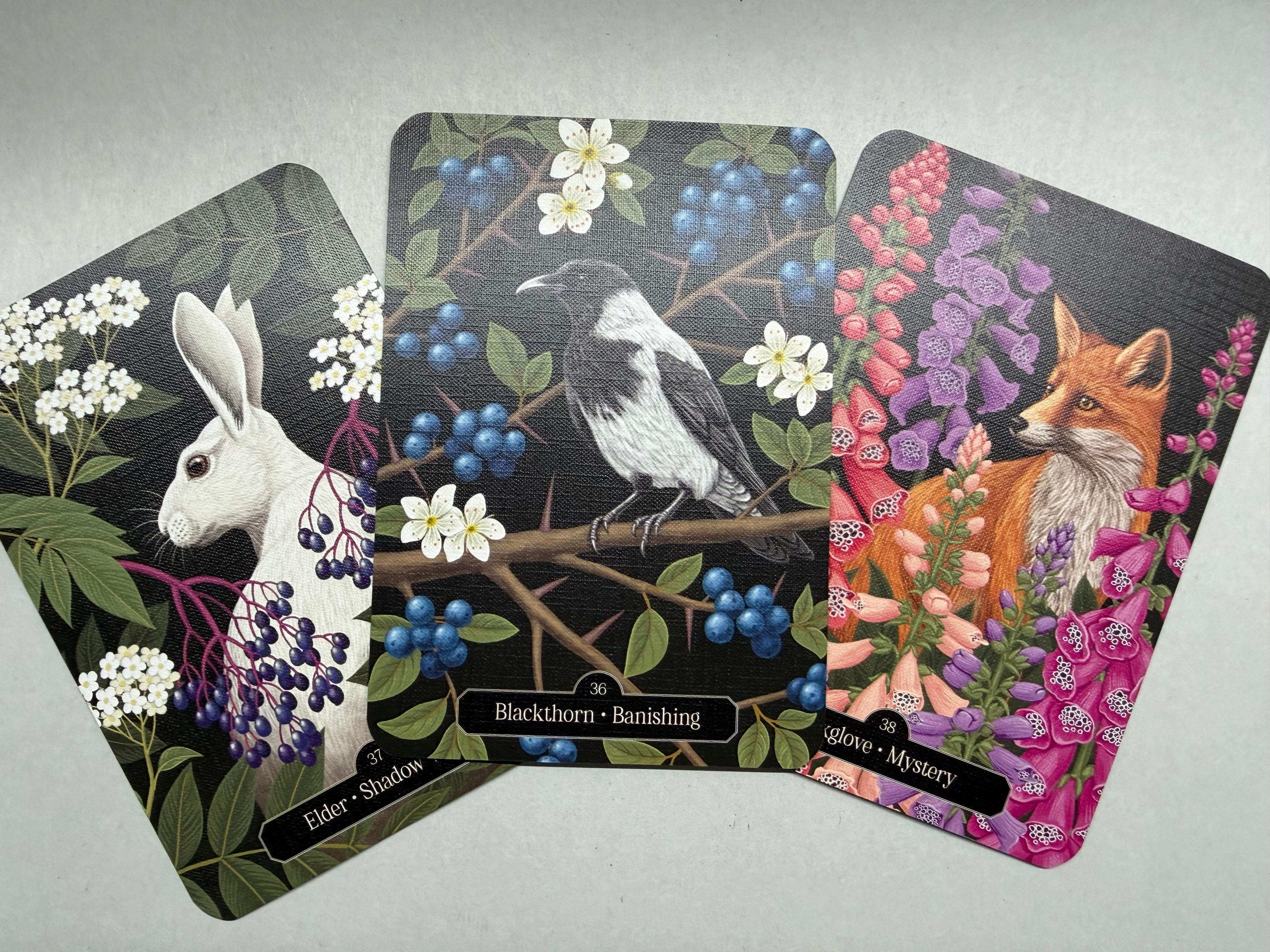 Three cards featuring animals and nature on a gray background