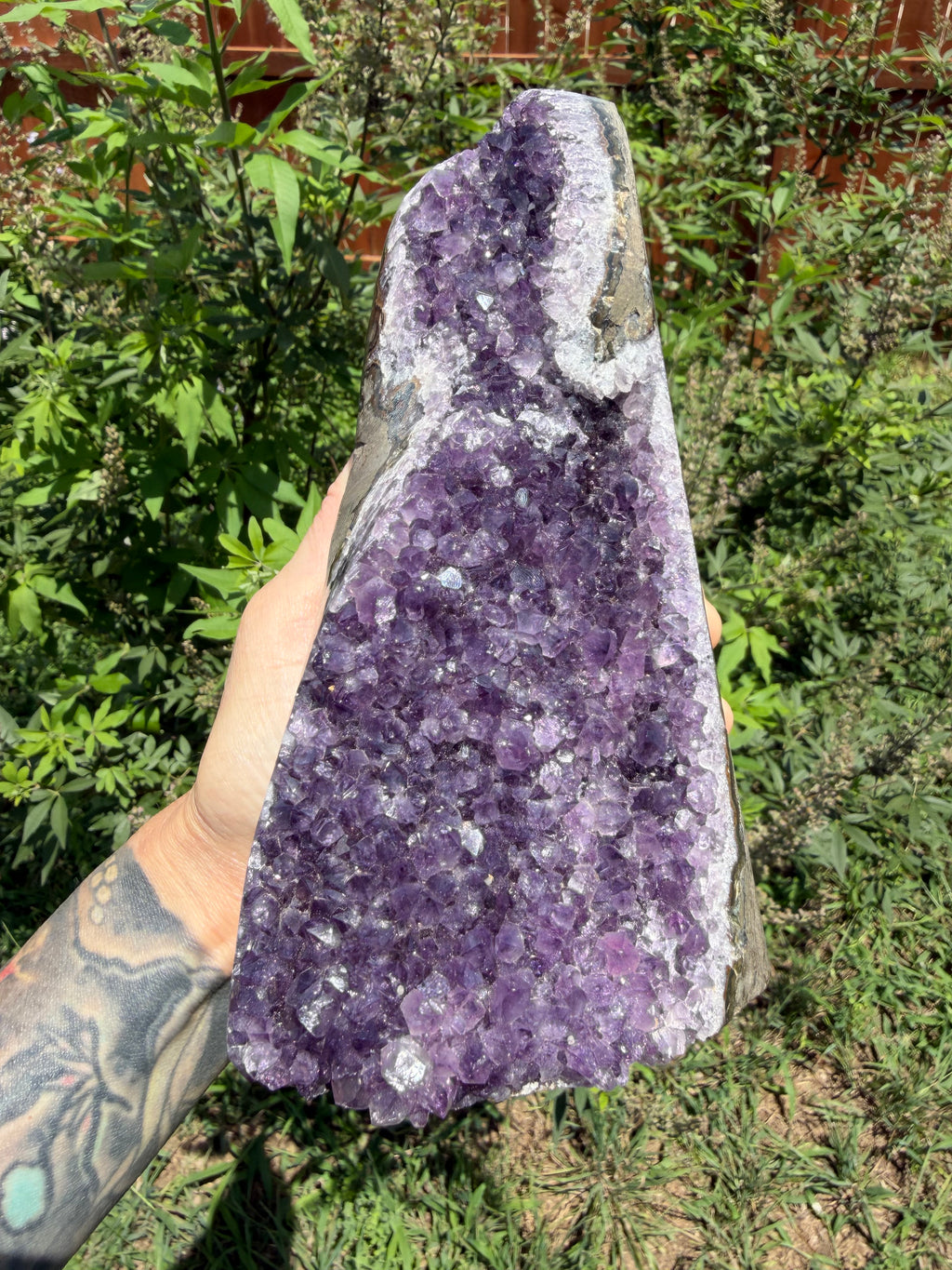 Amethyst crystal held by a person outdoors with greenery in the background