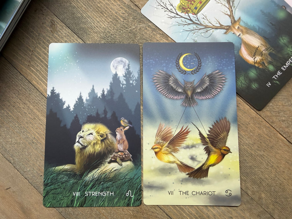 The Meraki Tarot 5th Edition