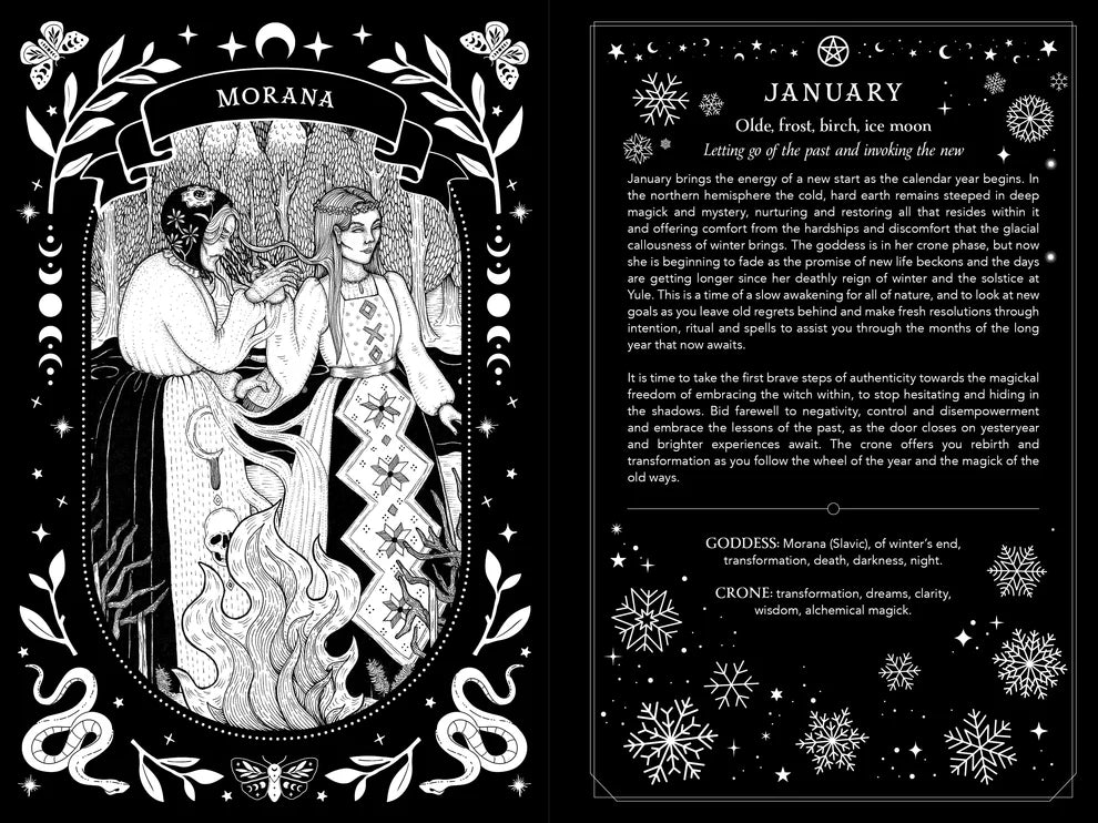 2027 Witch's Diary and Planner Calendar by Flavia Kate Peters and Barbara Meiklejohn-Free, Witchy Planner