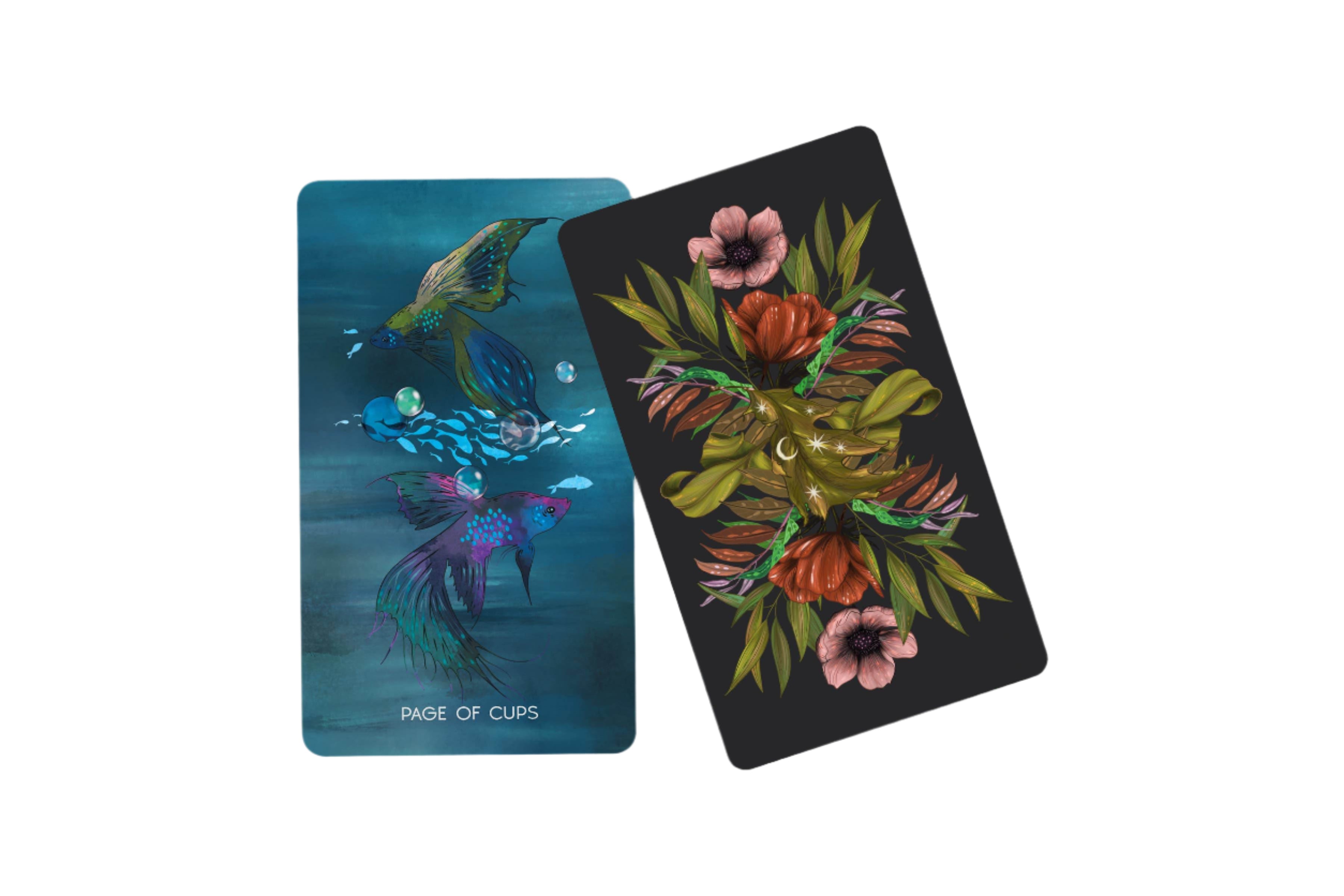 THE MERAKI TAROT 4TH EDITION - 2024 New Deck Launch - Water Moon Shop