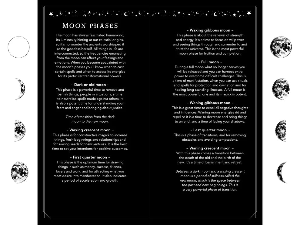2027 Witch's Diary and Planner Calendar by Flavia Kate Peters and Barbara Meiklejohn-Free, Witchy Planner