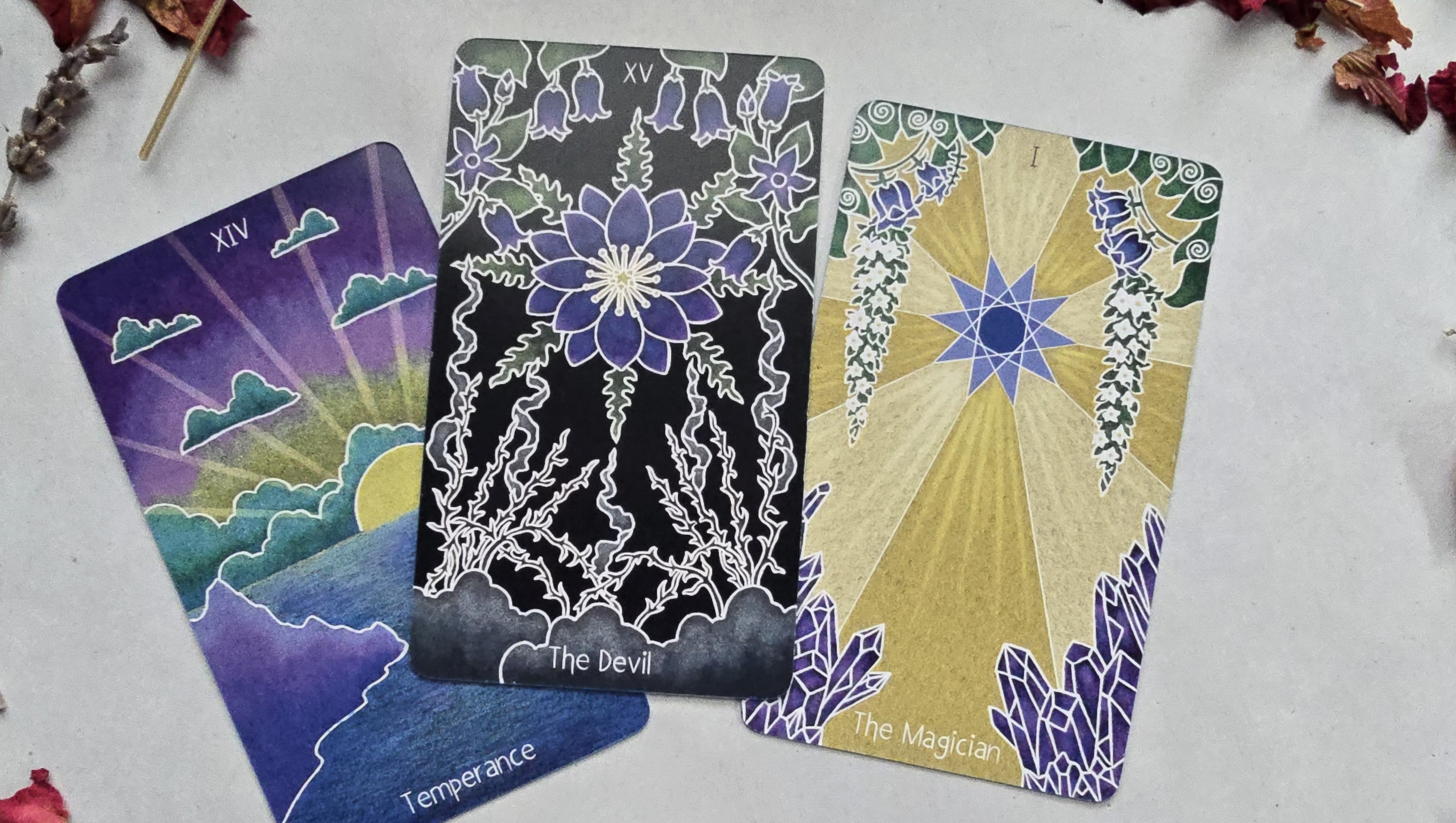 The Animystic Tarot (Deck and Guidebook, Box Set)