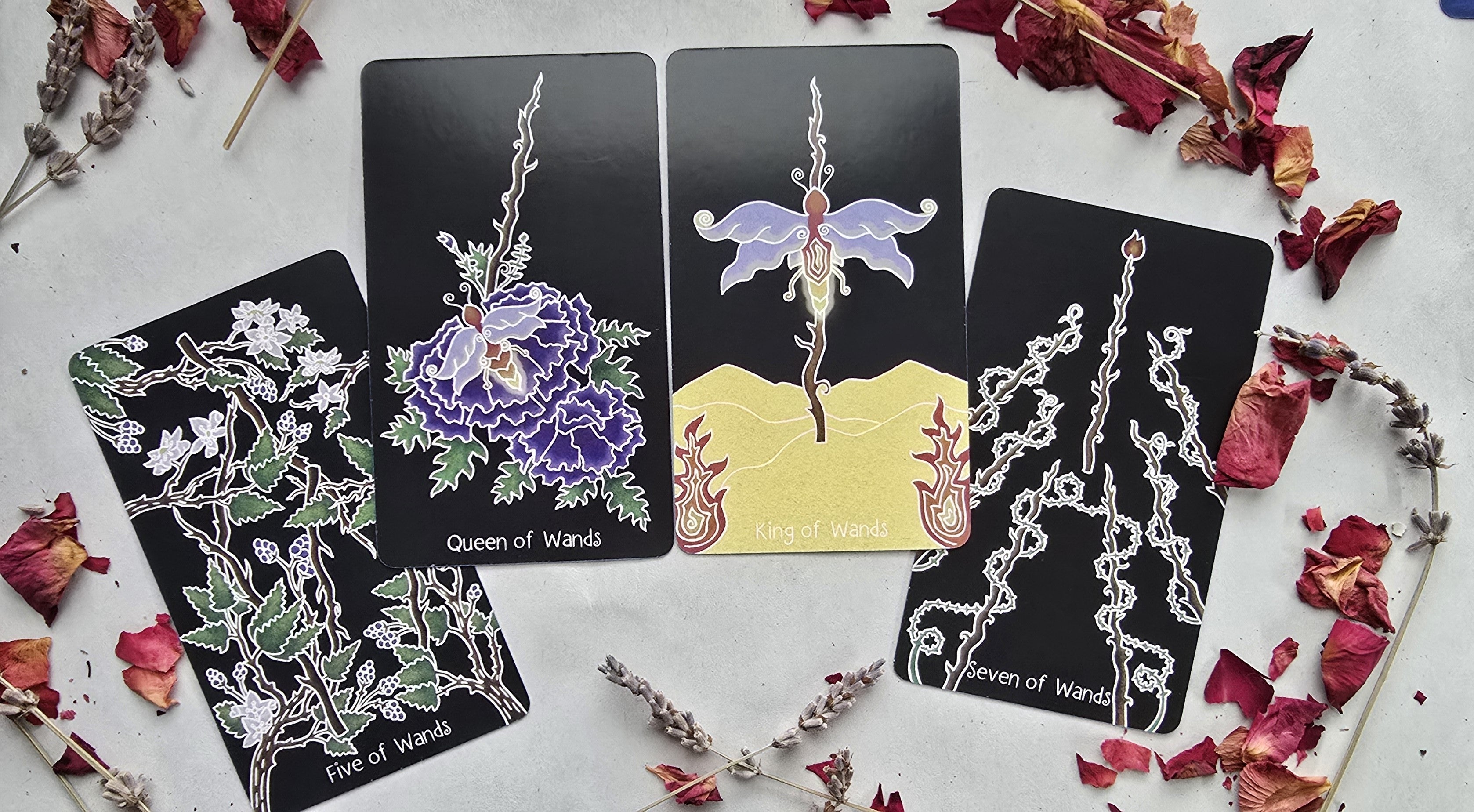 The Animystic Tarot (Deck and Guidebook, Box Set)