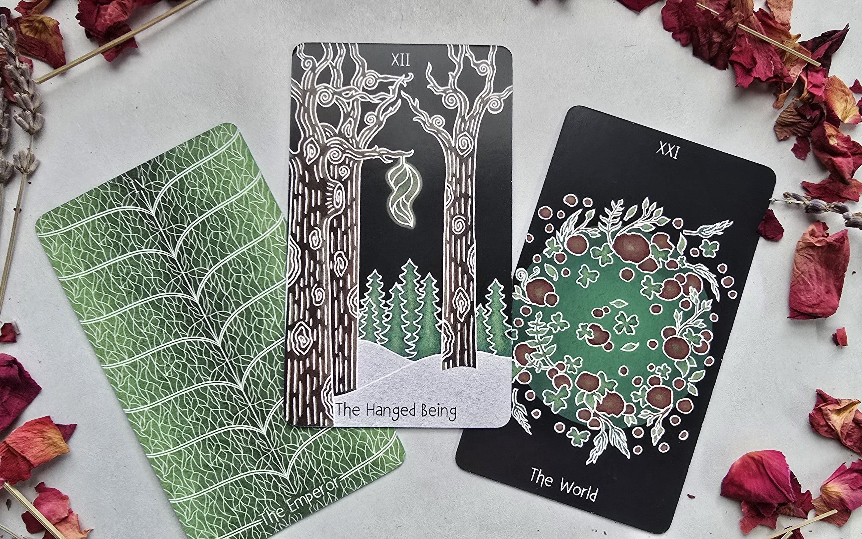 The Animystic Tarot (Deck and Guidebook, Box Set)