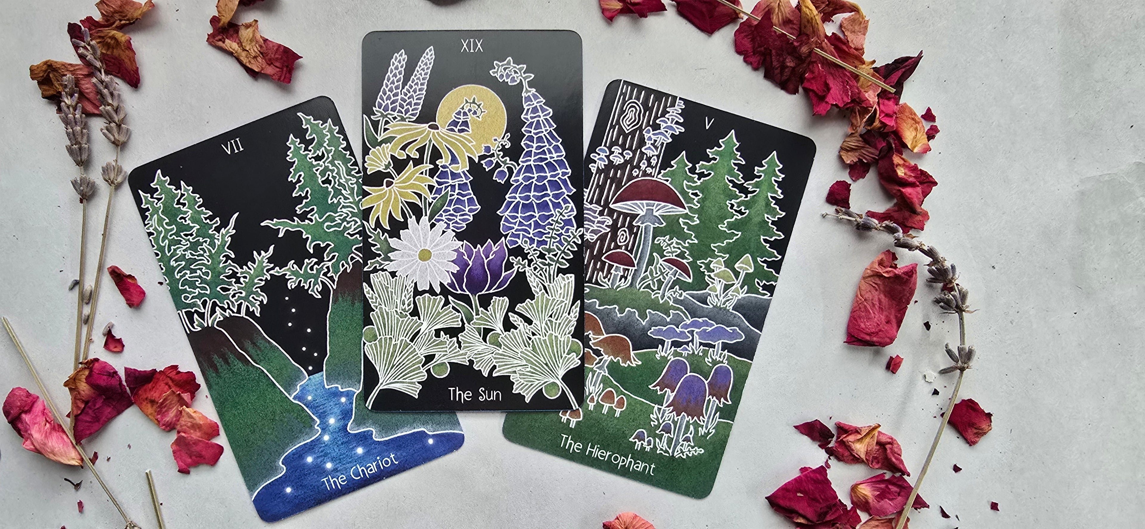 The Animystic Tarot (Deck and Guidebook, Box Set)