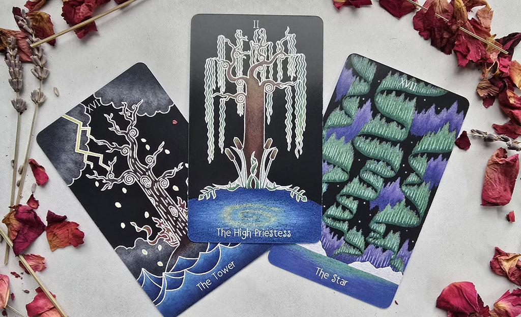 The Animystic Tarot (Deck and Guidebook, Box Set)