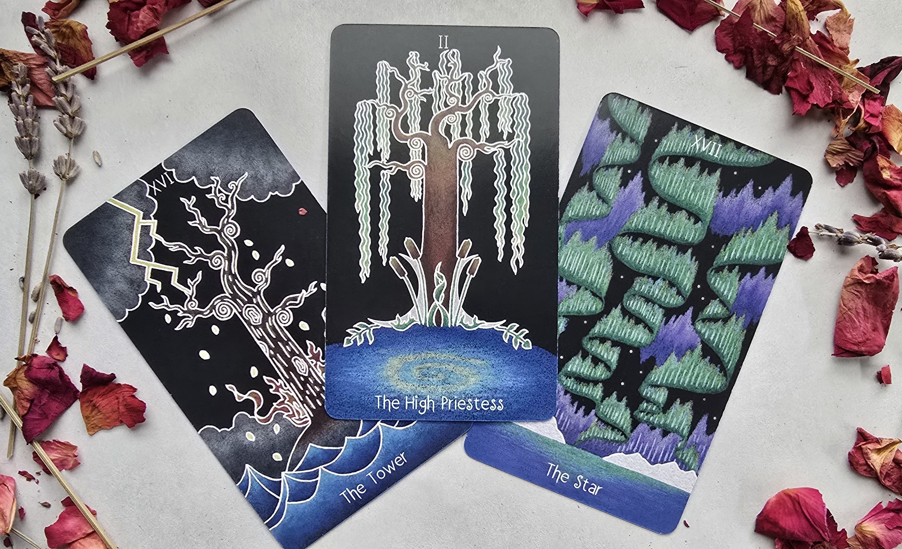 The Animystic Tarot (Deck and Guidebook, Box Set)