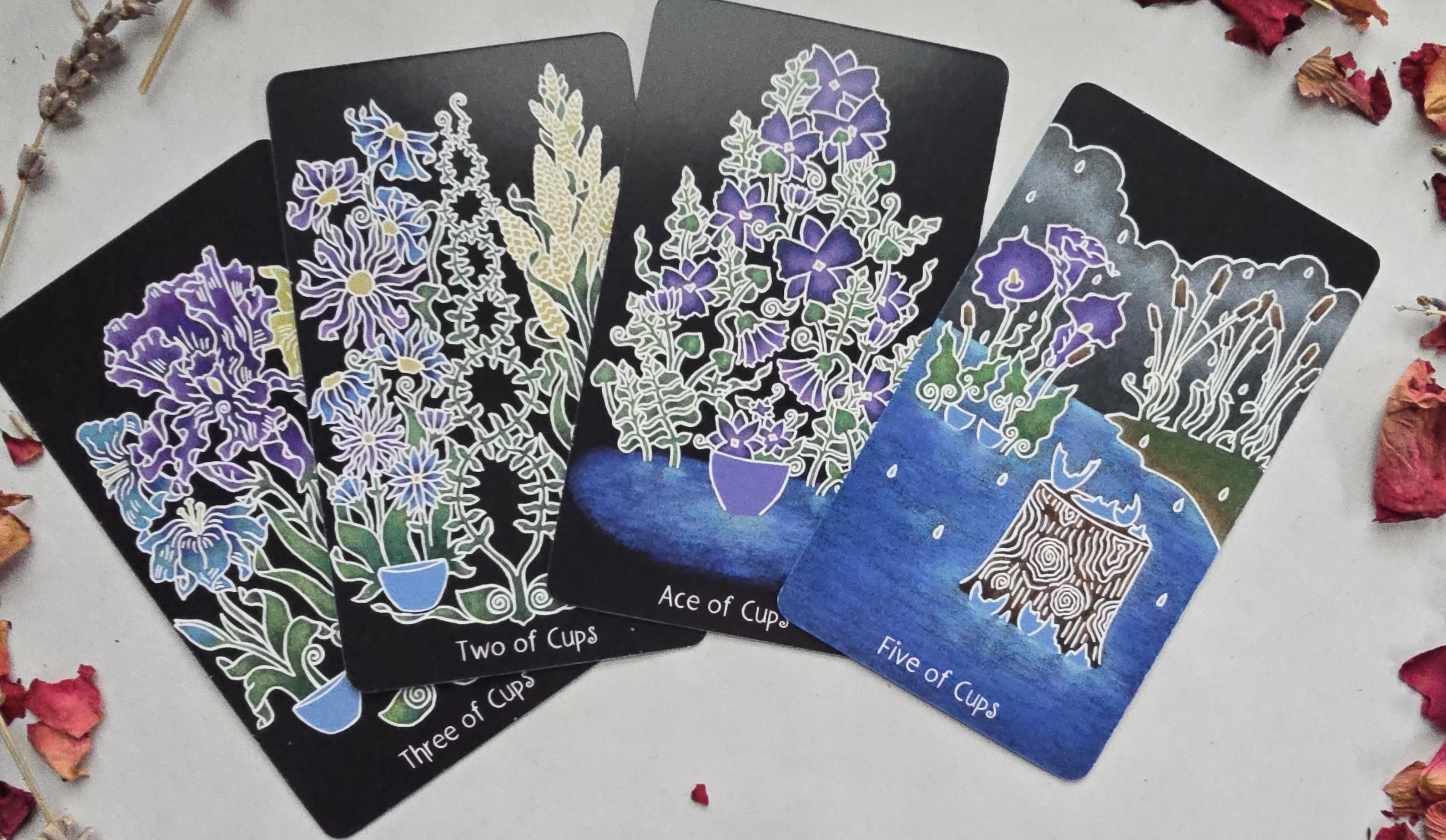 The Animystic Tarot (Deck and Guidebook, Box Set)