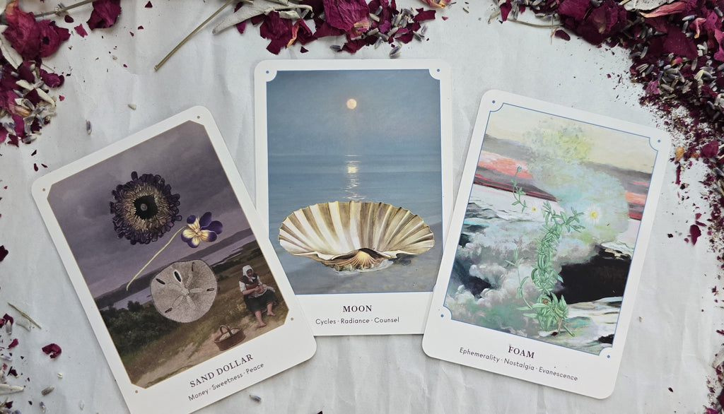 Sea Shell Oracle Pathfinder The Seashell Oracle – Water Moon Shop