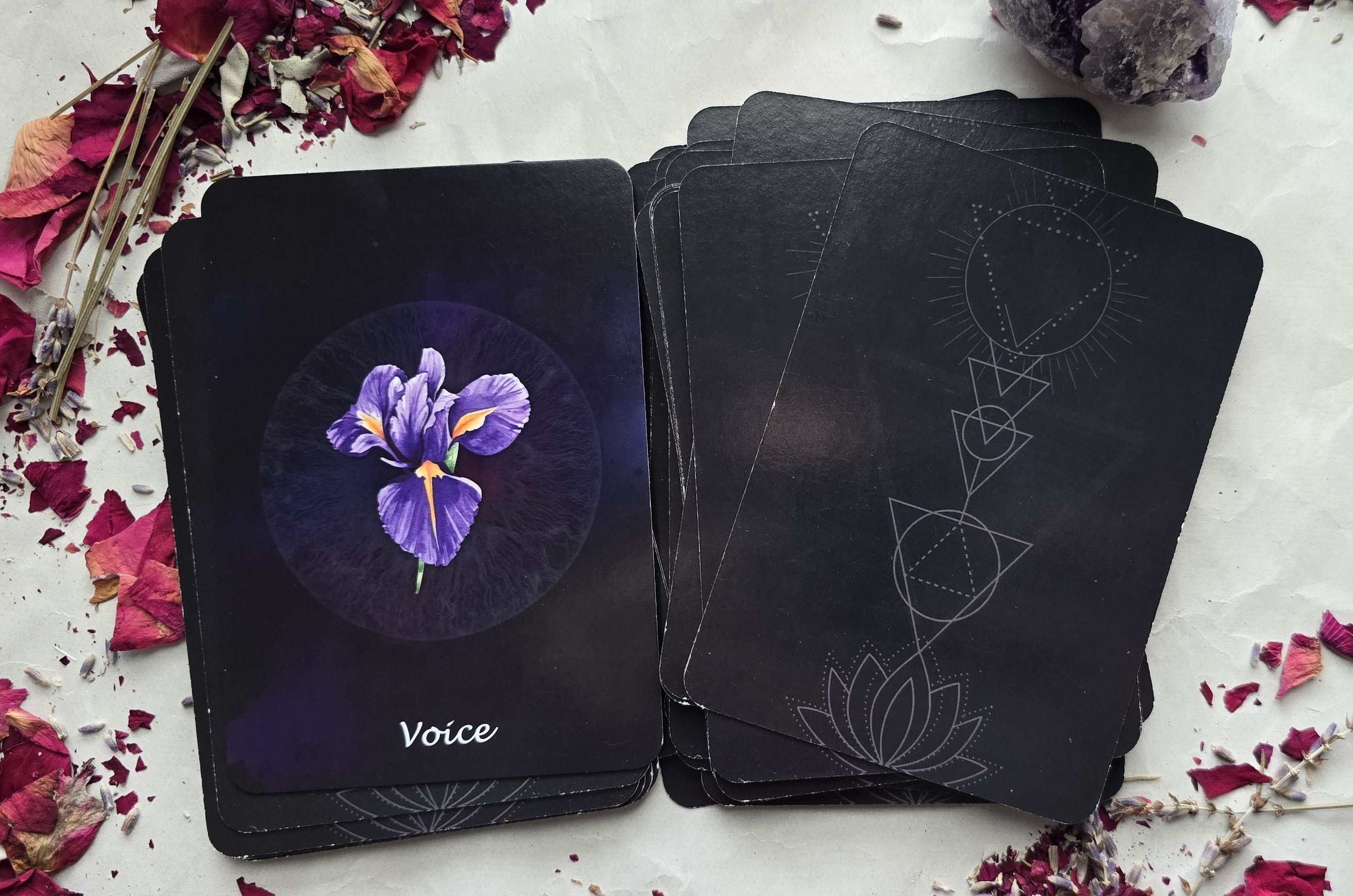 Water Within Oracle Deck