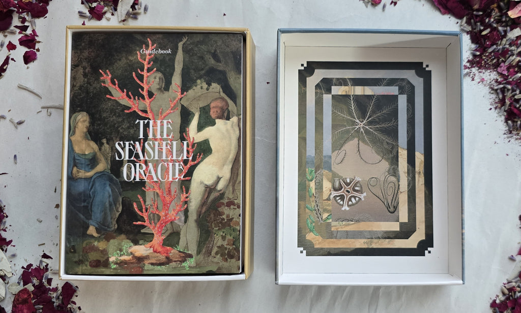 Sea Shell Oracle Pathfinder The Seashell Oracle – Water Moon Shop