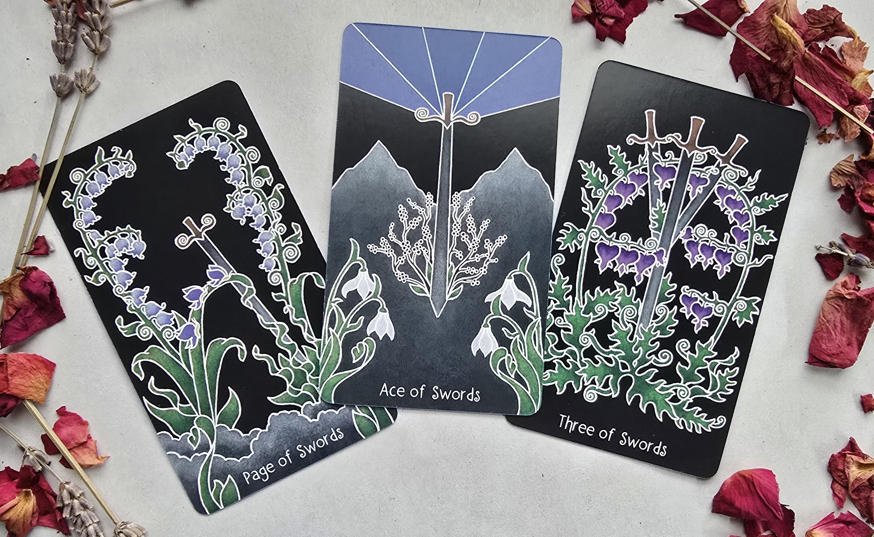 The Animystic Tarot (Deck and Guidebook, Box Set)