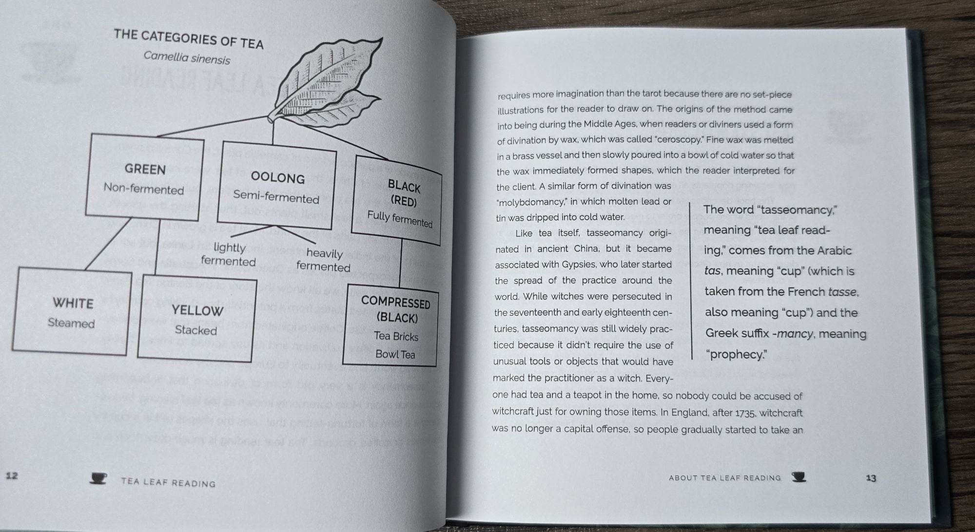 Tea Leaf Reading: Your Guide to More Than 500 Symbols - Water Moon Shop