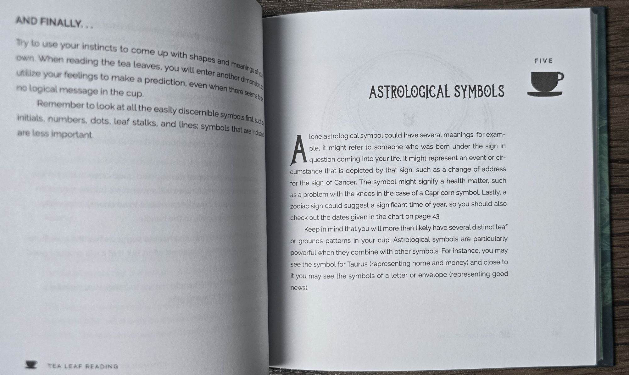 Tea Leaf Reading: Your Guide to More Than 500 Symbols - Water Moon Shop