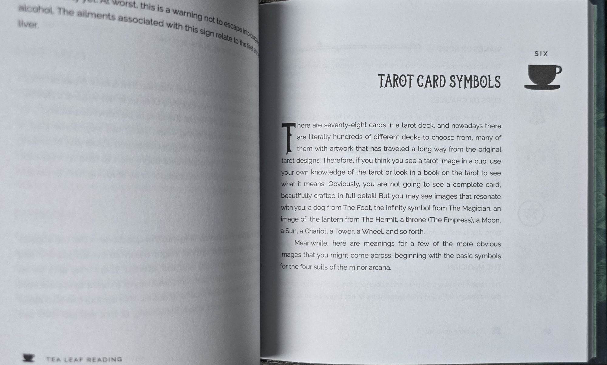 Tea Leaf Reading: Your Guide to More Than 500 Symbols - Water Moon Shop
