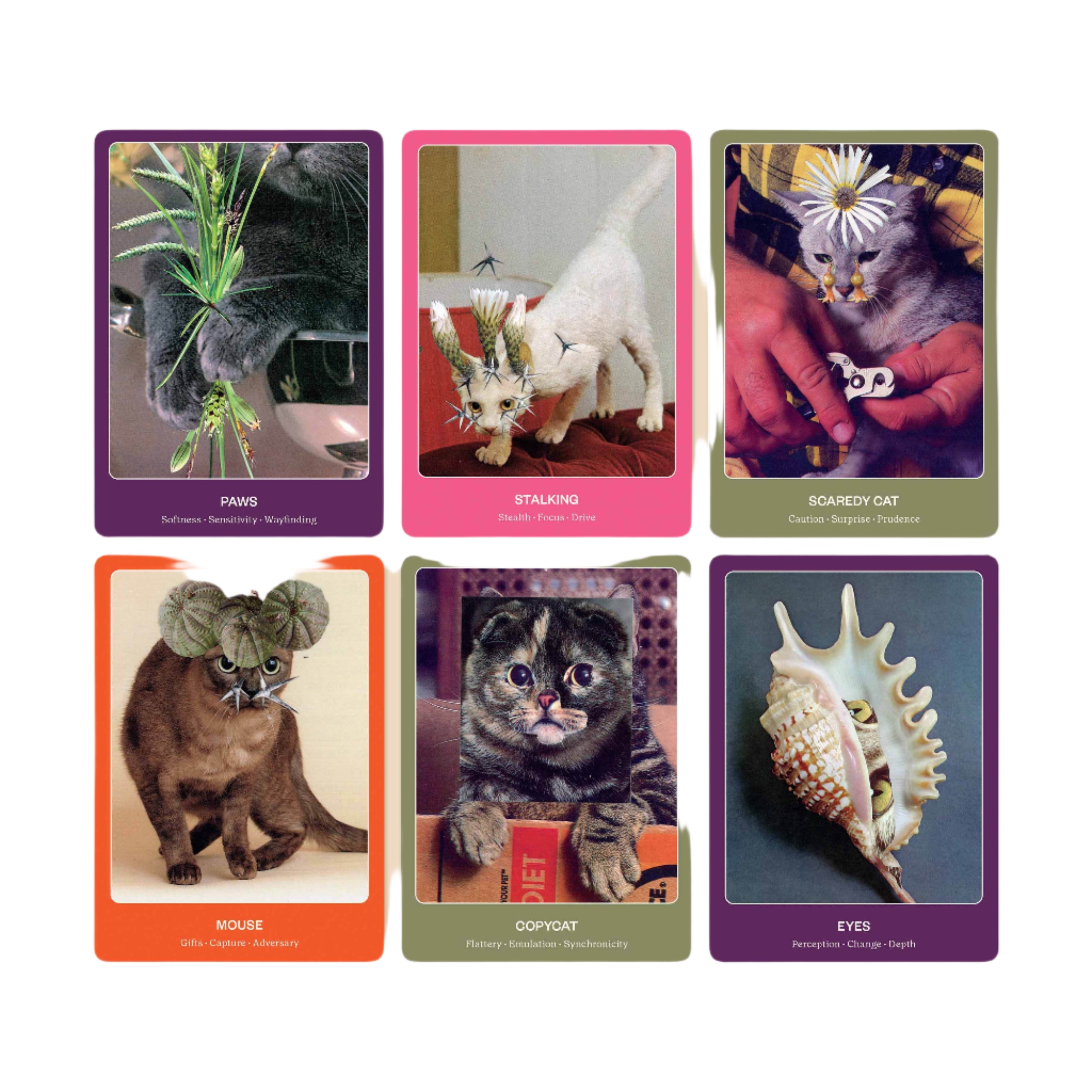 The Cat Oracle by Broccoli Mag - Water Moon Shop