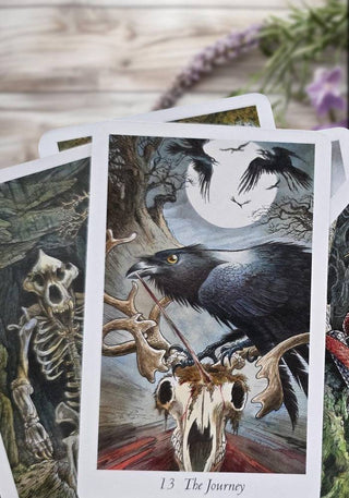 The Wildwood Tarot: Wherein Wisdom Resides - Water Moon Shop