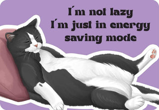 Cattitude Oracle Cards - 24 Feisty Feline Mood & Humor Cards by Rockpool Publishing, Cat Lover Gifts & Daily Confidence Boosters