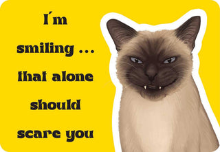 Cattitude Oracle Cards - 24 Feisty Feline Mood & Humor Cards by Rockpool Publishing, Cat Lover Gifts & Daily Confidence Boosters