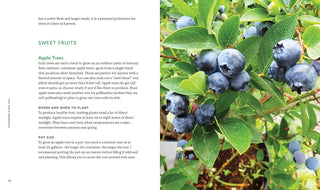 Tiny Space Gardening: A Guide to Urban Farming - Water Moon Shop
