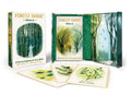 Forest Magic Oracle, A Deck and Guidebook for Green Witches