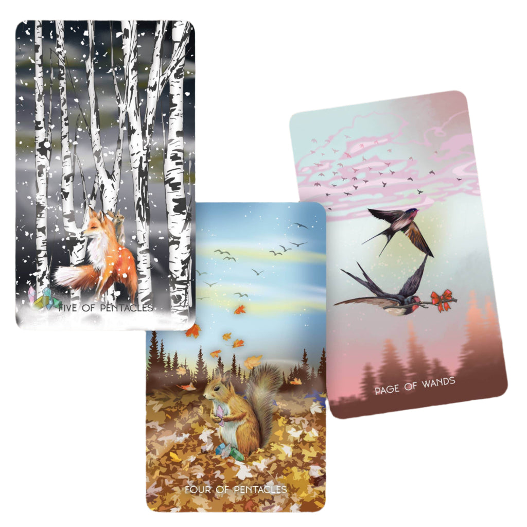 THE MERAKI TAROT 4TH EDITION - 2024 New Deck Launch - Water Moon Shop