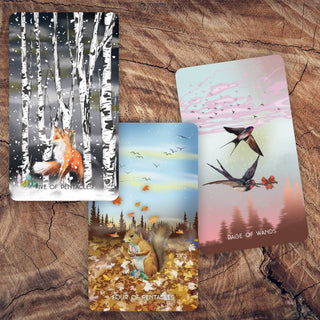 THE MERAKI TAROT 4TH EDITION - 2024 New Deck Launch - Water Moon Shop