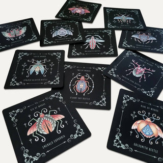 Insecta Obscura Animal Tarot Deck - Water Moon Shop