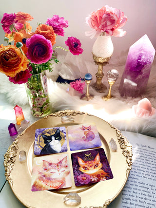 Witch Cats Oracle Deck - Water Moon Shop