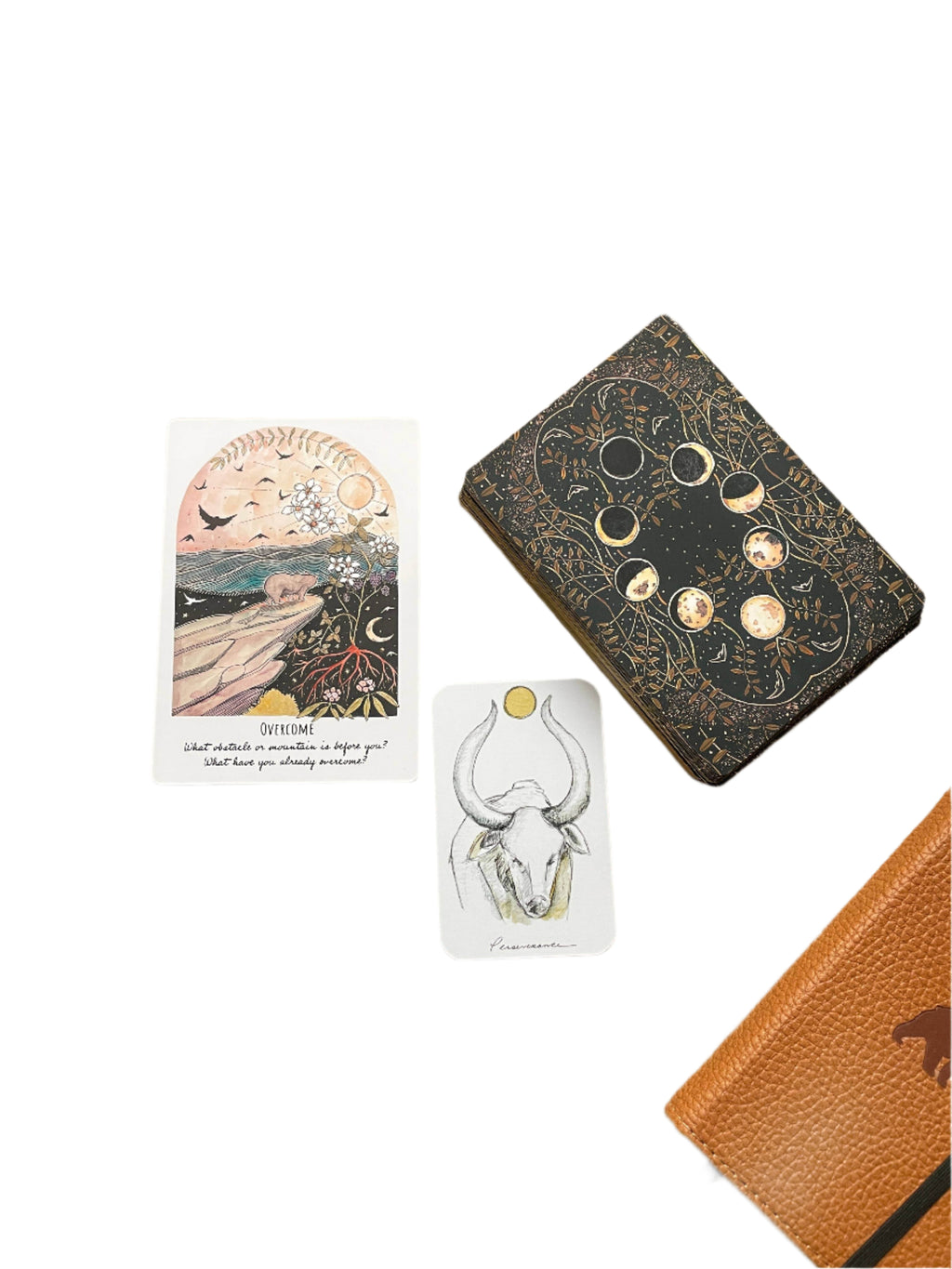 Phases and Forests Oracle Deck - Water Moon Shop