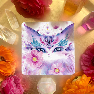 Witch Cats Oracle Deck - Water Moon Shop