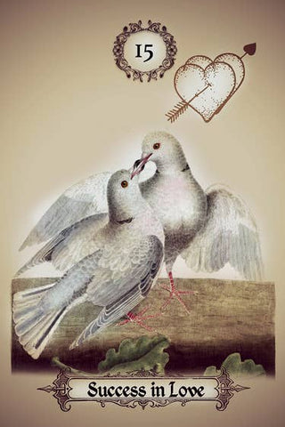 The Art of Kipper Reading: Powerful Messages - Water Moon Shop