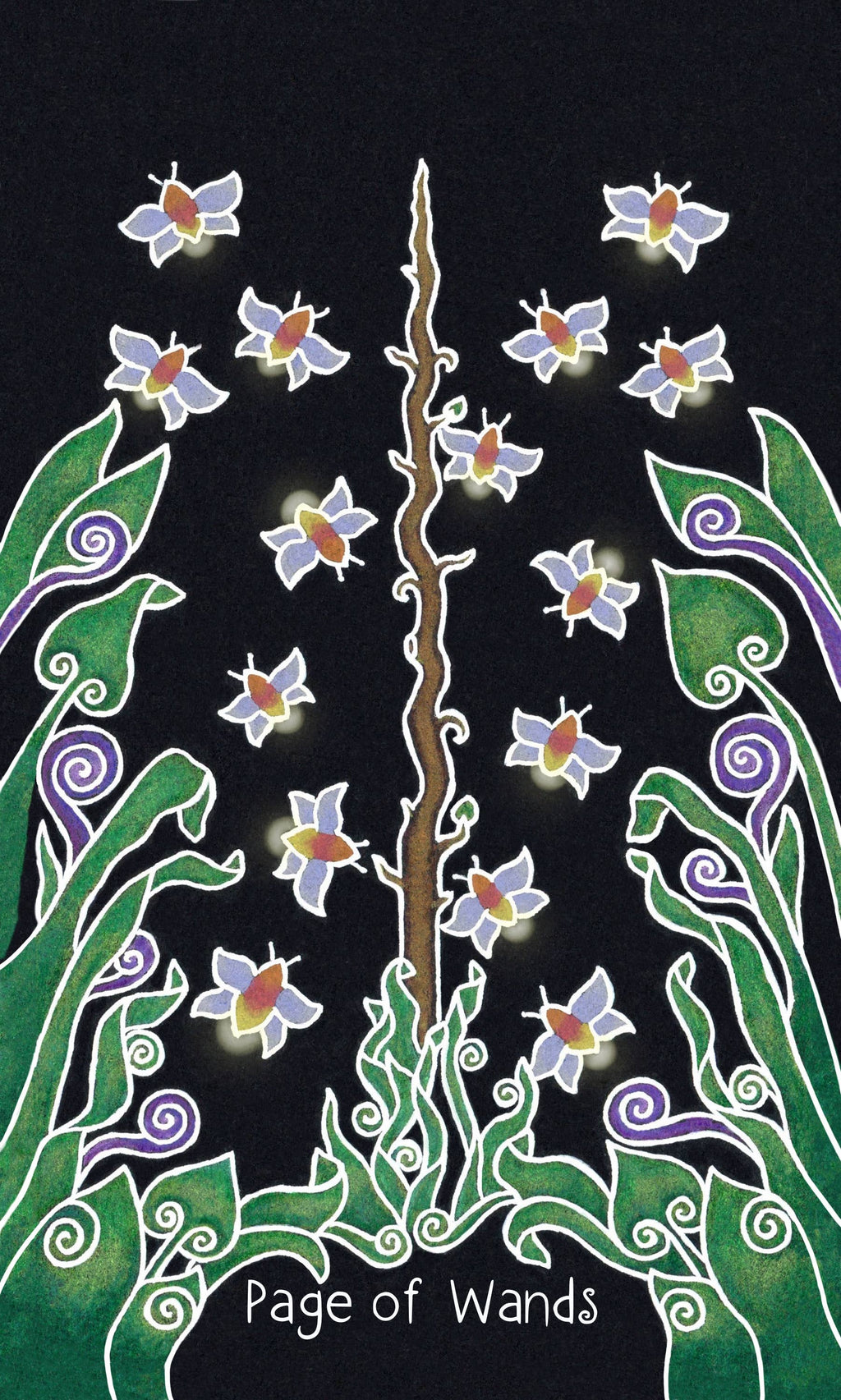 The Animystic Tarot (Deck and Guidebook, Box Set)