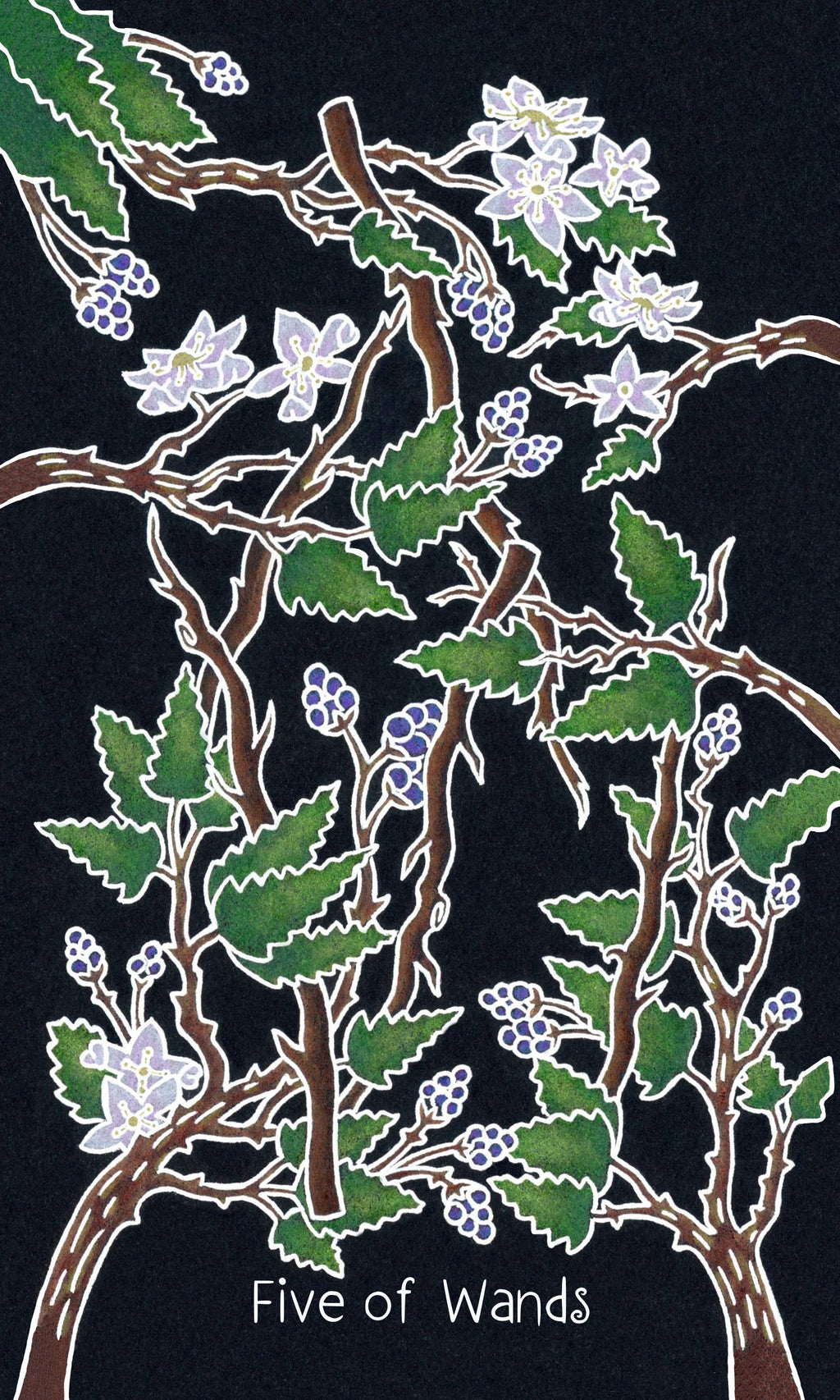 The Animystic Tarot (Deck and Guidebook, Box Set)