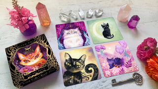 Witch Cats Oracle Deck - Water Moon Shop