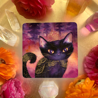 Witch Cats Oracle Deck - Water Moon Shop