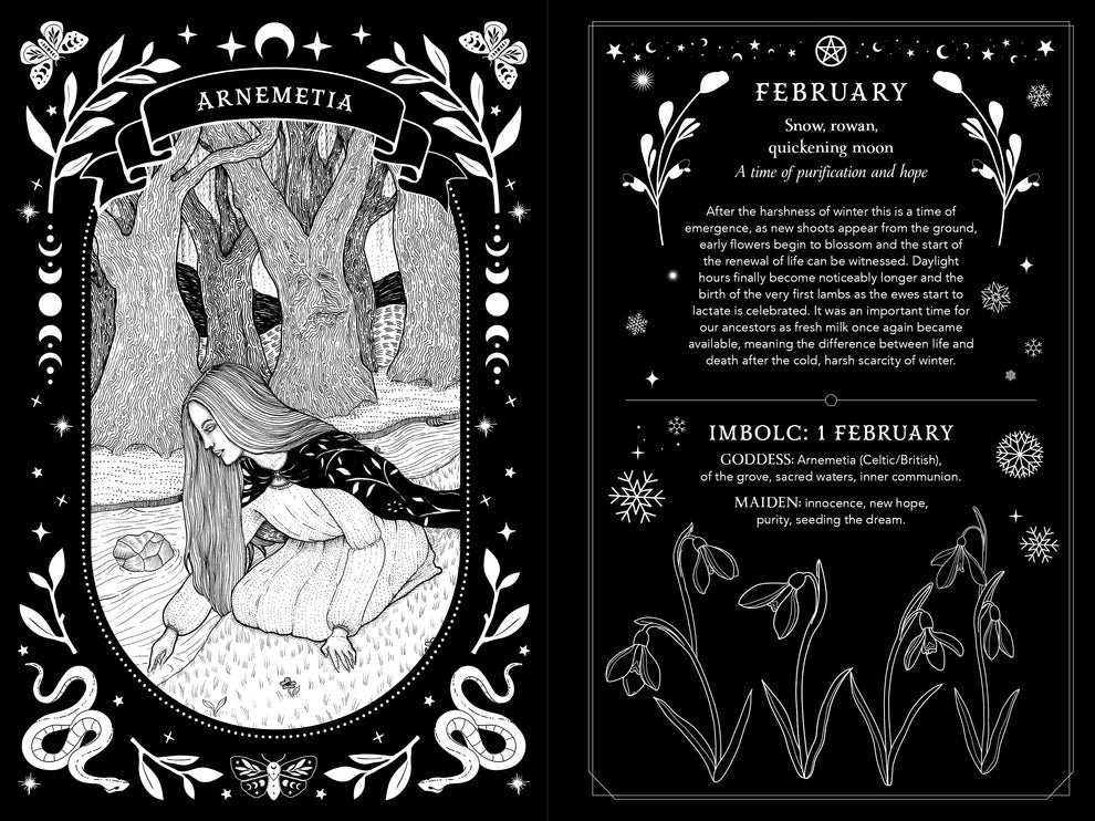2027 Witch's Diary and Planner Calendar by Flavia Kate Peters and Barbara Meiklejohn-Free, Witchy Planner